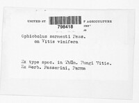 Image Associated With the Occurence